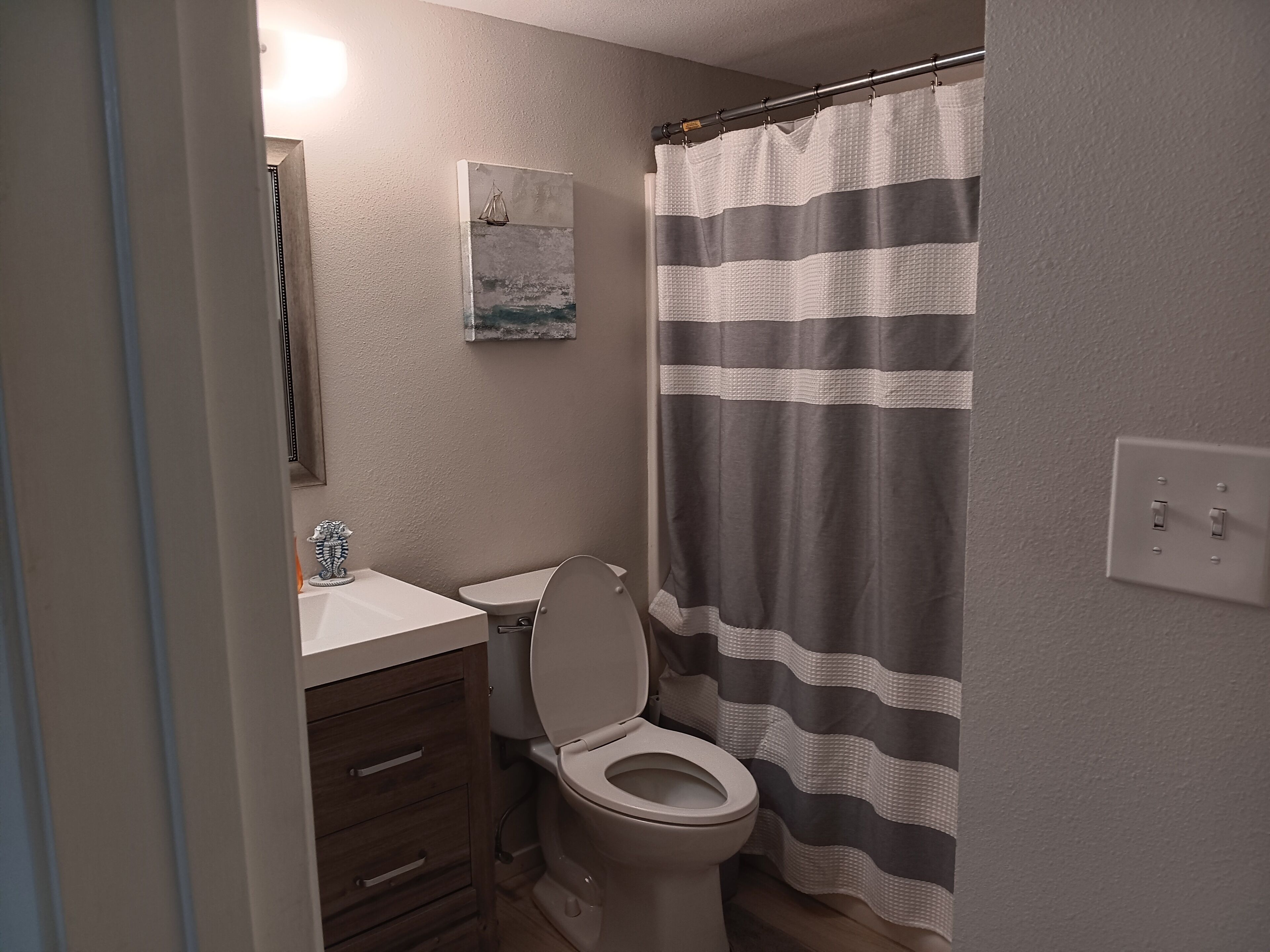 A bathroom with a toilet, a sink, a mirror, and a shower curtain.