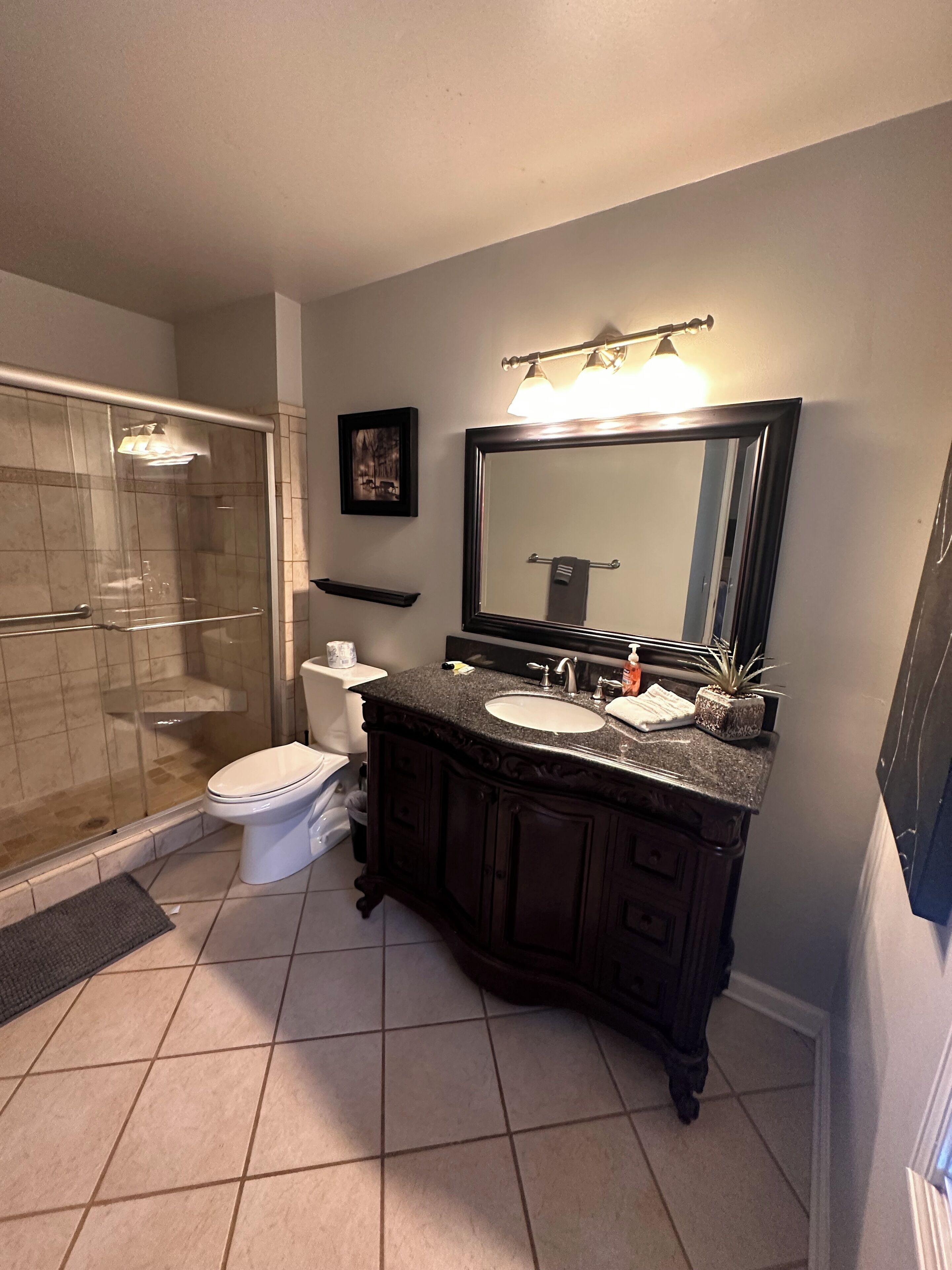 Bathtub, hair dryer, towels, soap