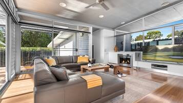 Télévision, cheminée