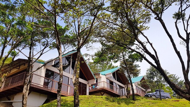 Un edificio moderno de varios pisos con balcones, rodeado de abundante vegetación y árboles.