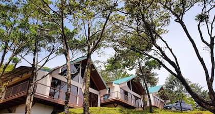 Green Forest Vacations Homes