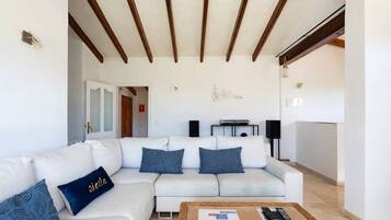 Een smart-tv, een open haard, boeken en een muziekbibliotheek