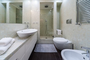 Shower, hair dryer, bidet, towels