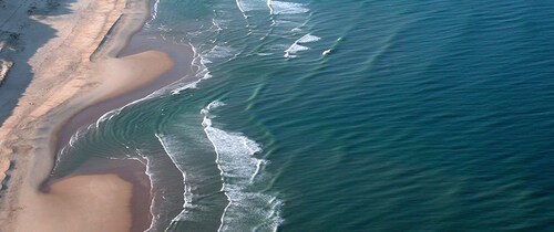  à 50m de l’accès plage nord derrière la dune atlantique, jardin