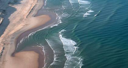 Ă 50m de lâaccĂšs plage nord derriĂšre la dune atlantique, jardin