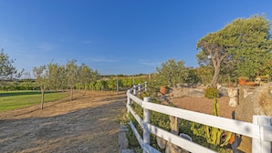 Un espace extérieur clos, délimité par une clôture en bois, avec des arbres et un ciel bleu dégagé.