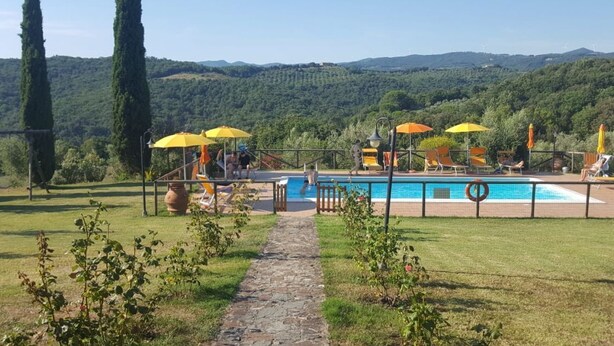 Ein Poolbereich mit einem Kiesweg, umgeben von Grünflächen und hohen Bäumen.