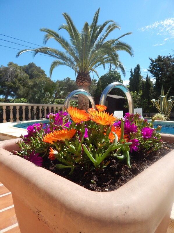 Exterior detail - Charming holiday home Casa Belitta in Javea / Costa Nova (Xàbia)