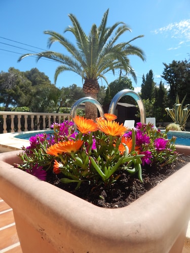 Charming holiday home Casa Belitta in Javea / Costa Nova