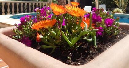 Charming holiday home Casa Belitta in Javea / Costa Nova