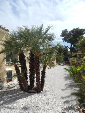 Property grounds - Charming holiday home Casa Belitta in Javea / Costa Nova (Xàbia)