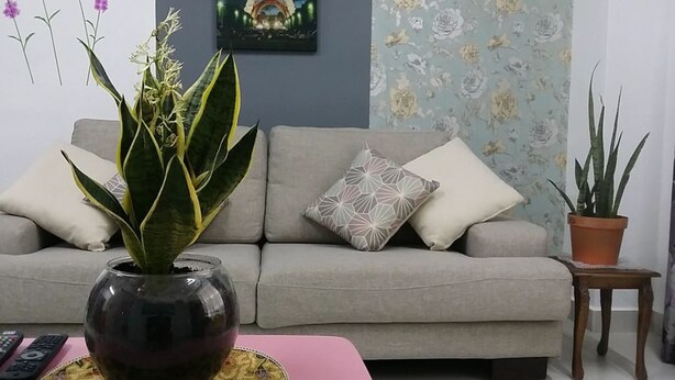 Un salon avec un canapé, un vase contenant une plante, une petite table et une plante en pot.