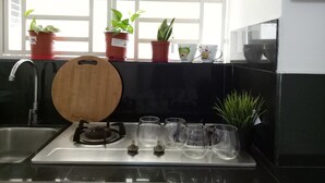 Une cuisine équipée d’un évier, d’une cuisinière et d’une fenêtre agrémentée de plantes en pot.