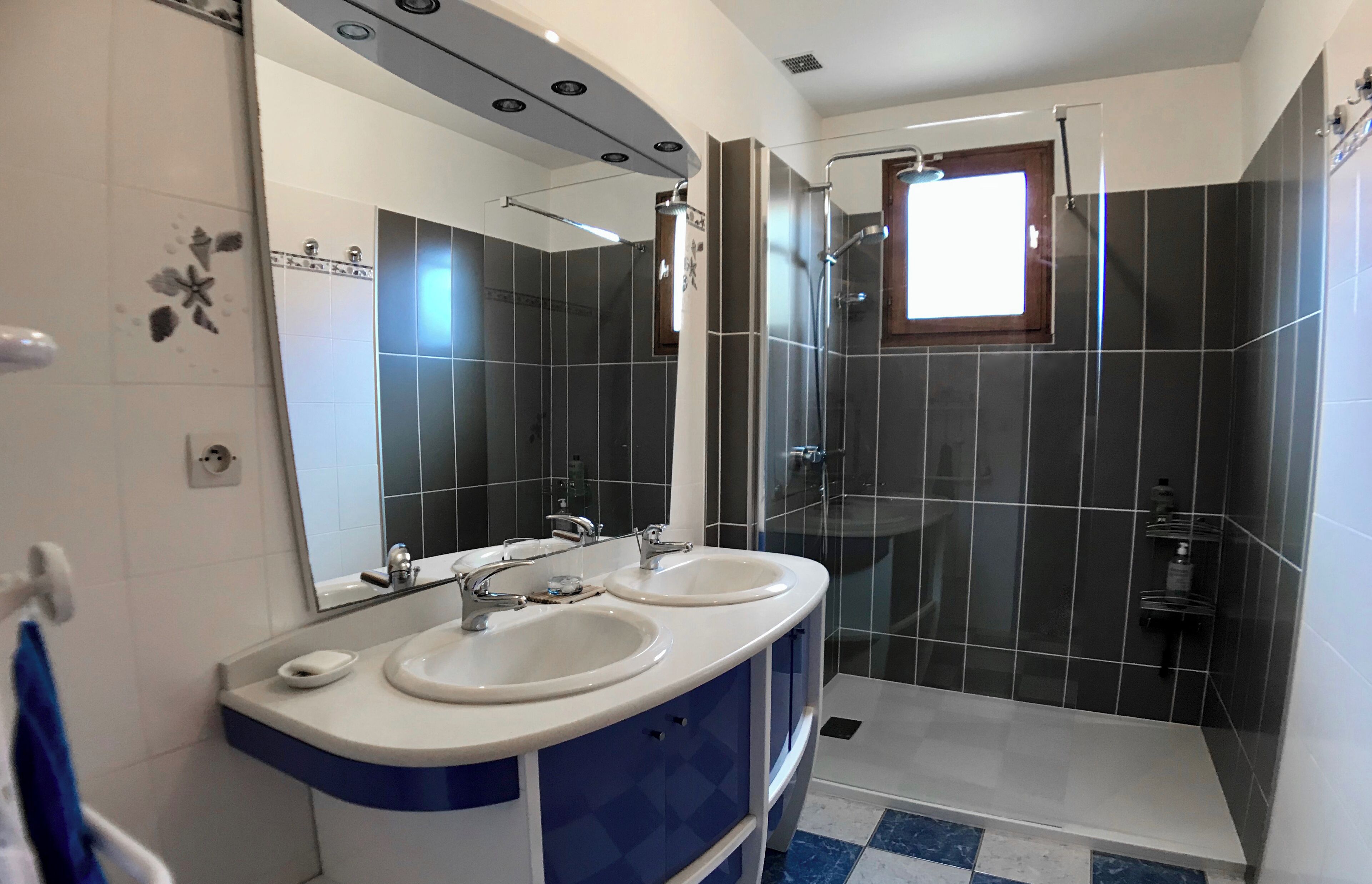 Shower, hair dryer, towels