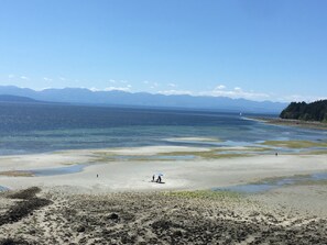 Ubicación a pie de playa, tumbonas y toallas de playa