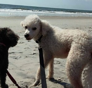 Beach nearby - Relax, make memories and enjoy a great holiday on the beach! (Fernandina Beach)