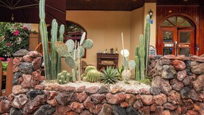 A cactus garden with a stone wall, wooden door, and a signboard.