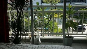 A room with a large window, a bed with a floral bedspread, and several potted plants.
