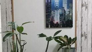 Una habitación con una pintura de un paisaje urbano, un armario gris y varias plantas en macetas.