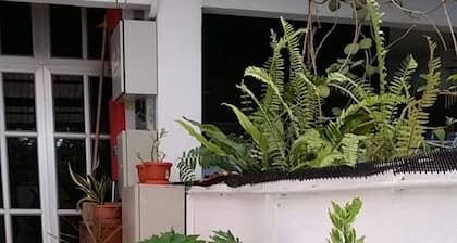 Mama Mia Home - Bukit Mertajam