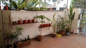 A terrace with potted plants arranged on shelves and in pots. - Mama Mia Home - Bukit Mertajam (Bukit Mertajam)