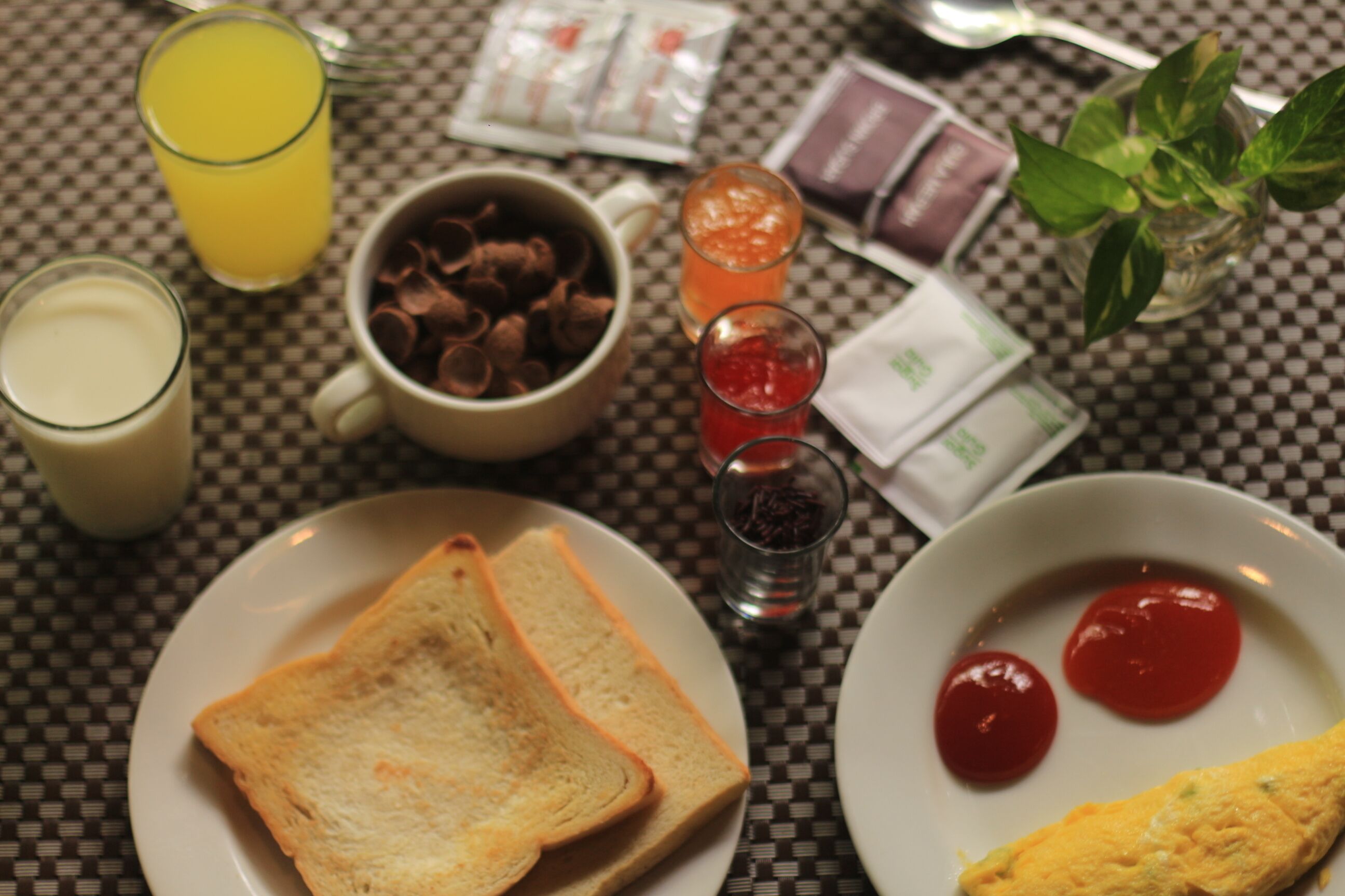 A table with a checkered tablecloth, a glass of orange juice, a cup of hot chocolate, a plate with toast, a plate with ketchup, and a small plant.