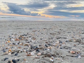 Beach - Blue Sunset 4 Bedroom Home by RedAwning (Supply)