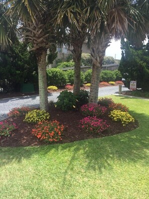 House, 3 Bedrooms | Property grounds