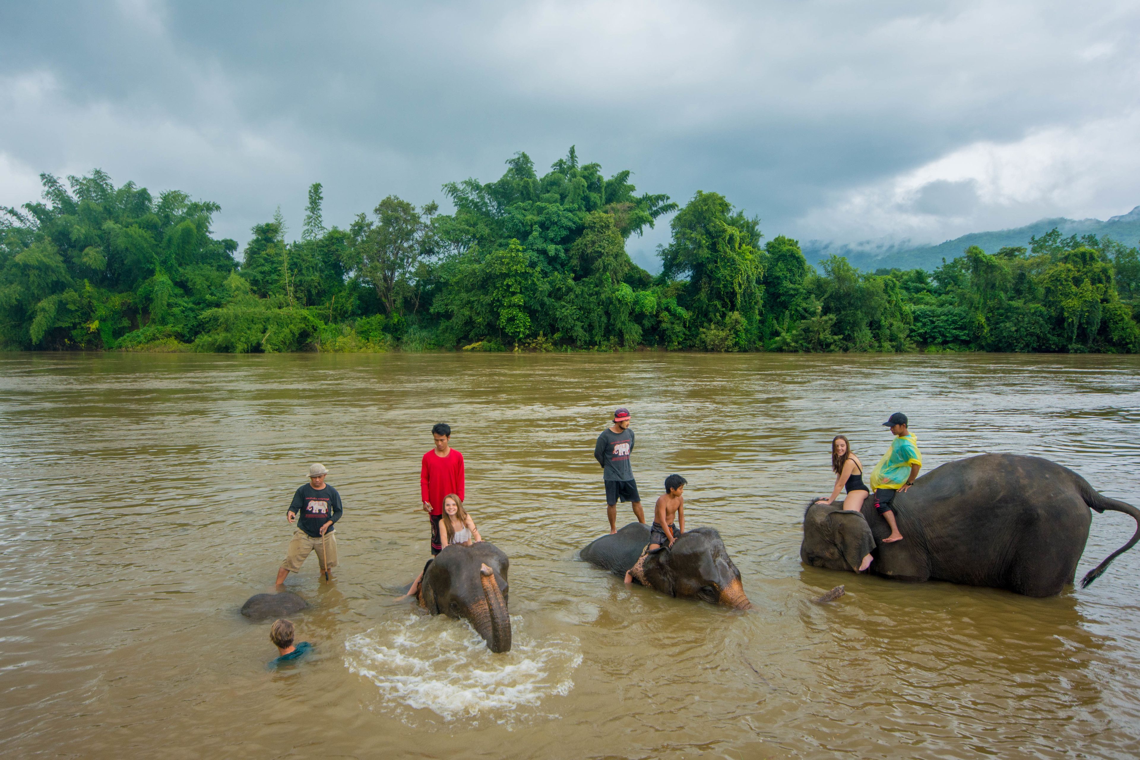 A group of people riding elephants through a river surrounded by lush greenery.