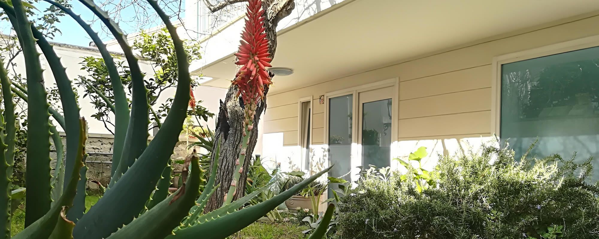 واجهة المنشأة