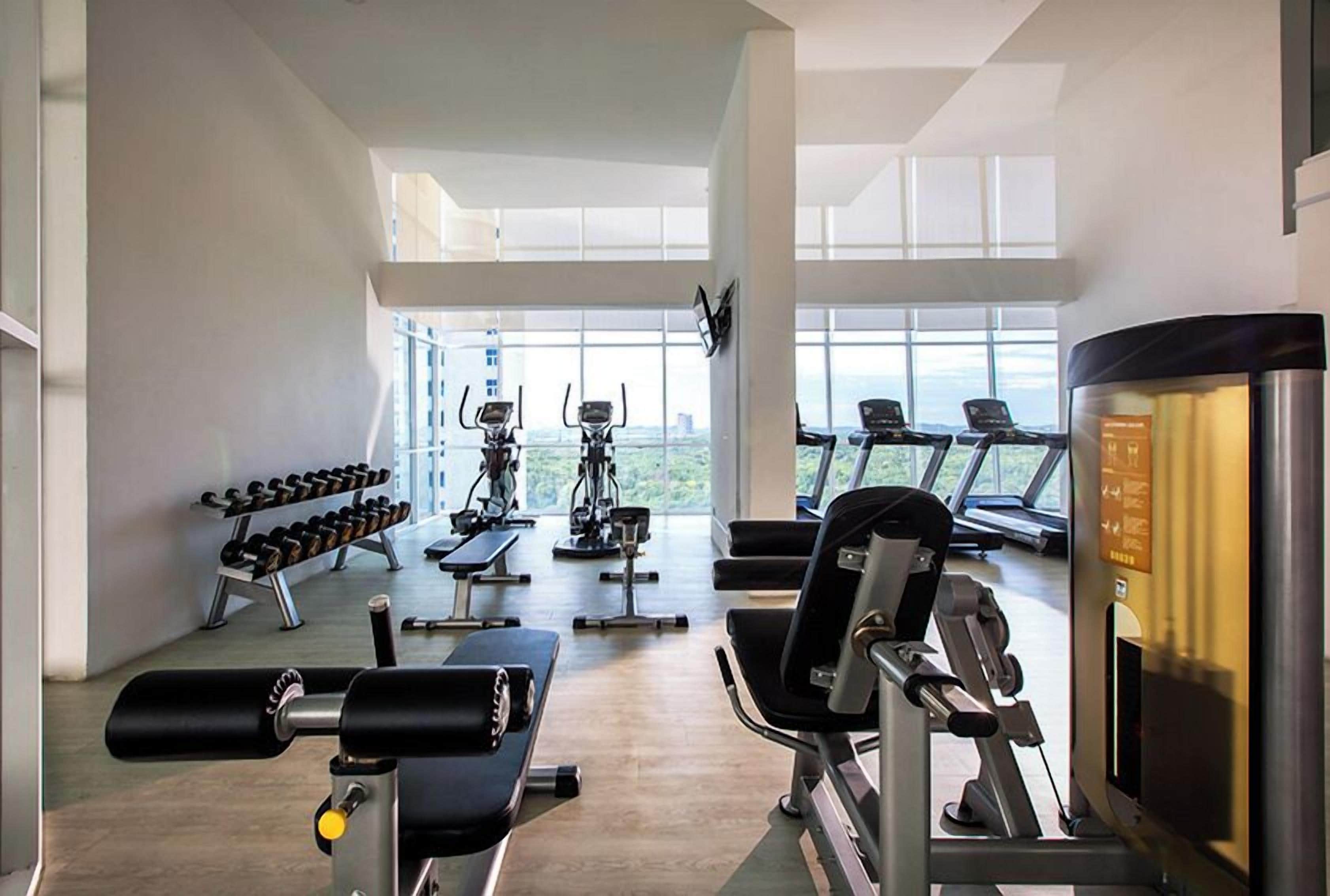Un gimnasio moderno con equipo de cardio, máquinas de pesas y mancuernas.