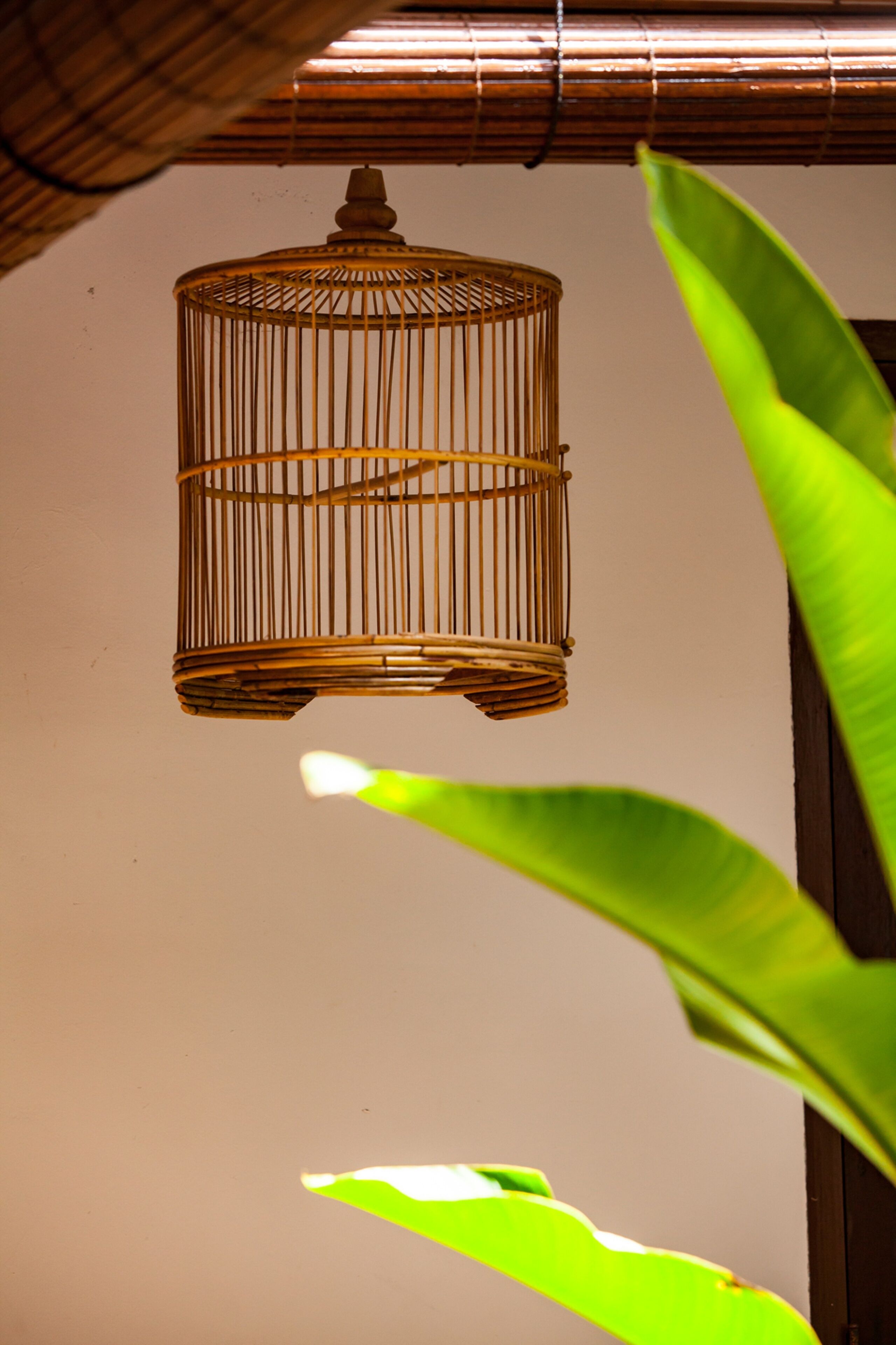 courtyard room | view from room