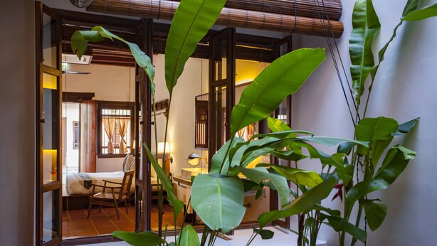 Una habitación con cama, una silla y una planta grande en maceta.