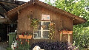 Un bâtiment rustique en bois, doté d’une fenêtre, de plantes en pot et d’un chien devant l’entrée.