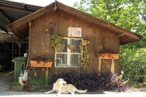 Garden - Beit Nofesh Waiss (Mevoot HaHermon)