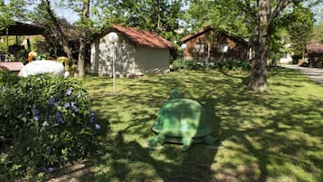 Gallery Studio | Garden view