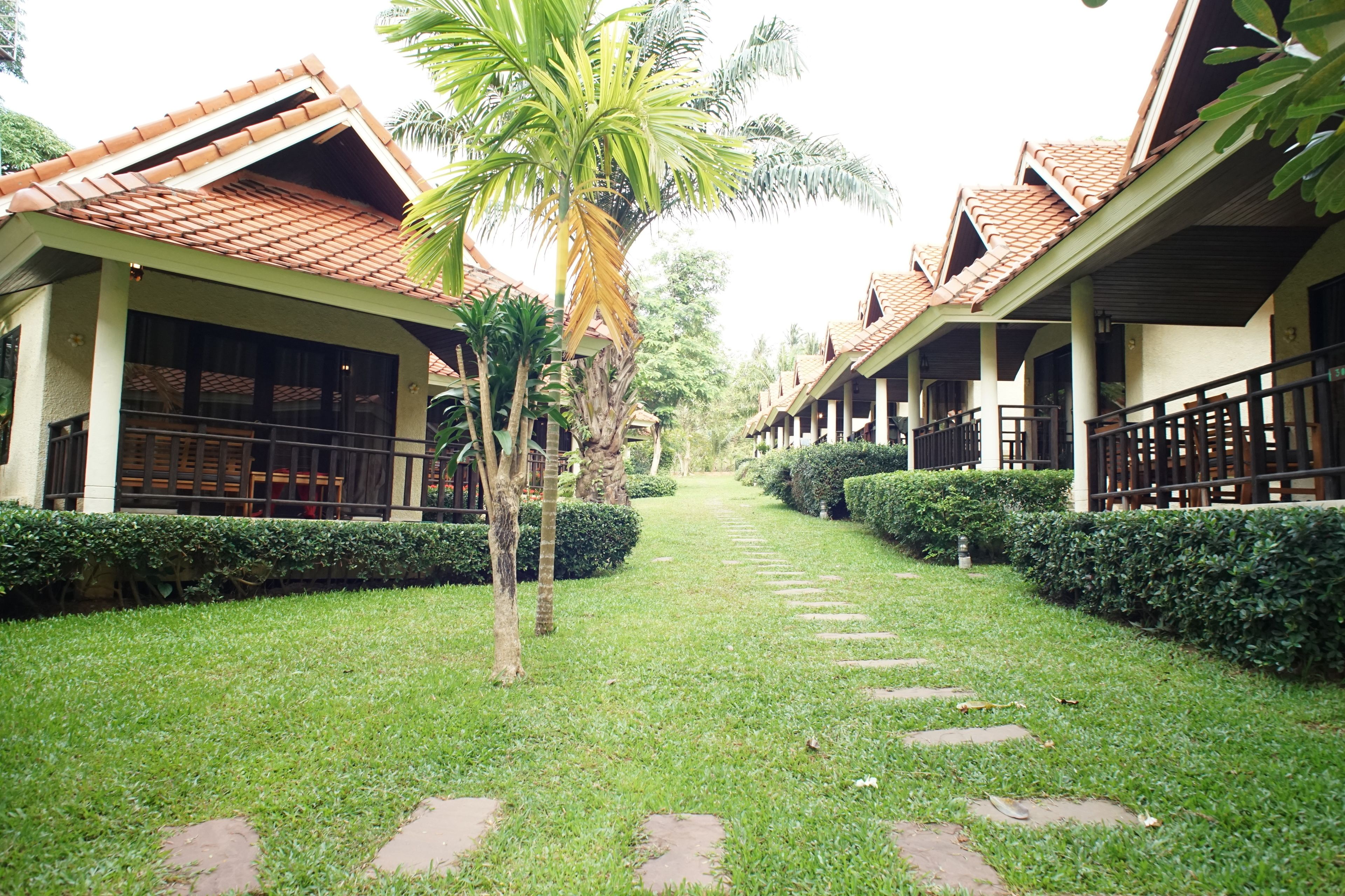 A pathway leading to a row of buildings with tiled roofs and a central palm tree.
