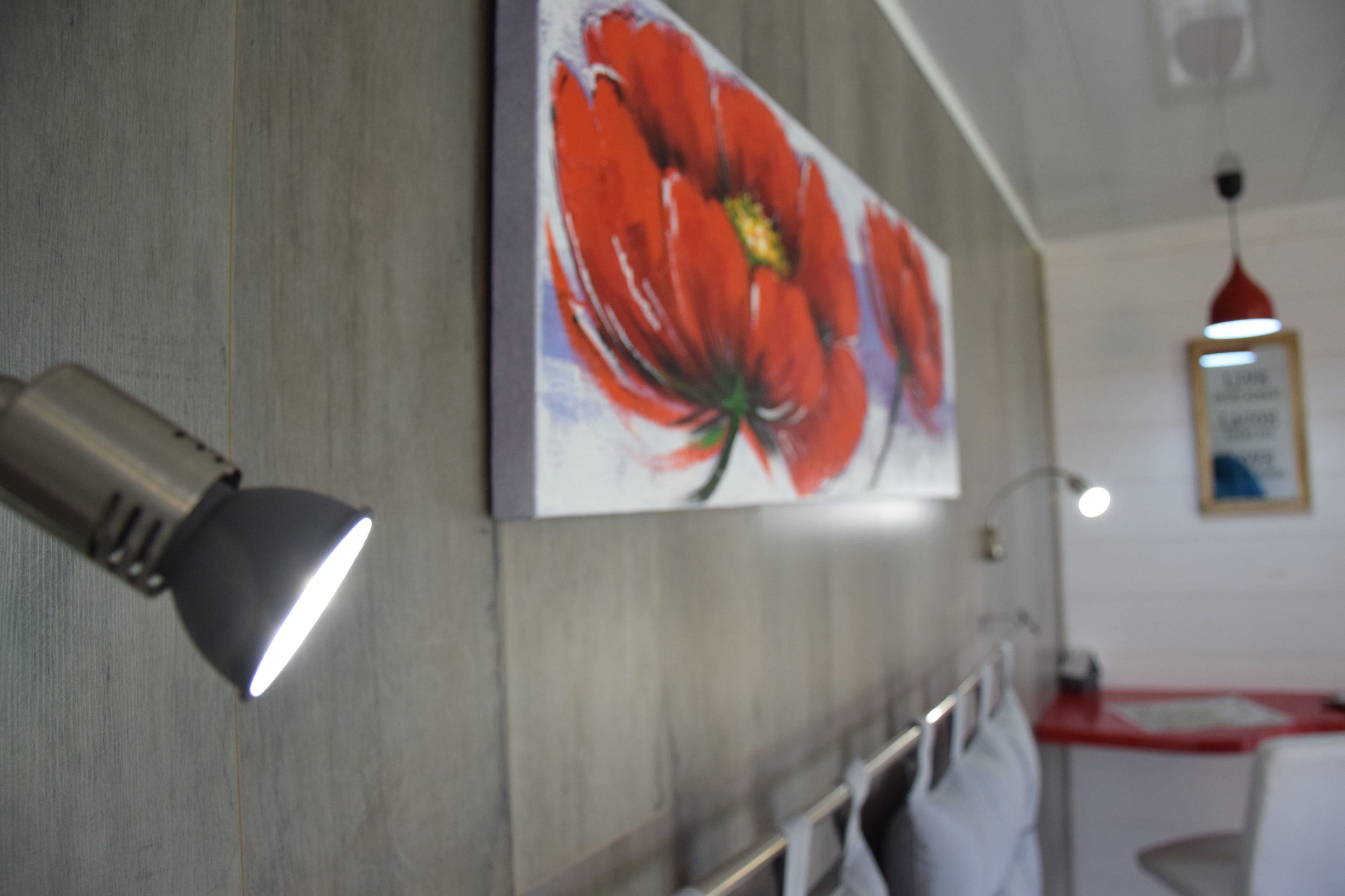 Une pièce avec un tableau représentant des fleurs rouges au mur, une lampe et un comptoir rouge.