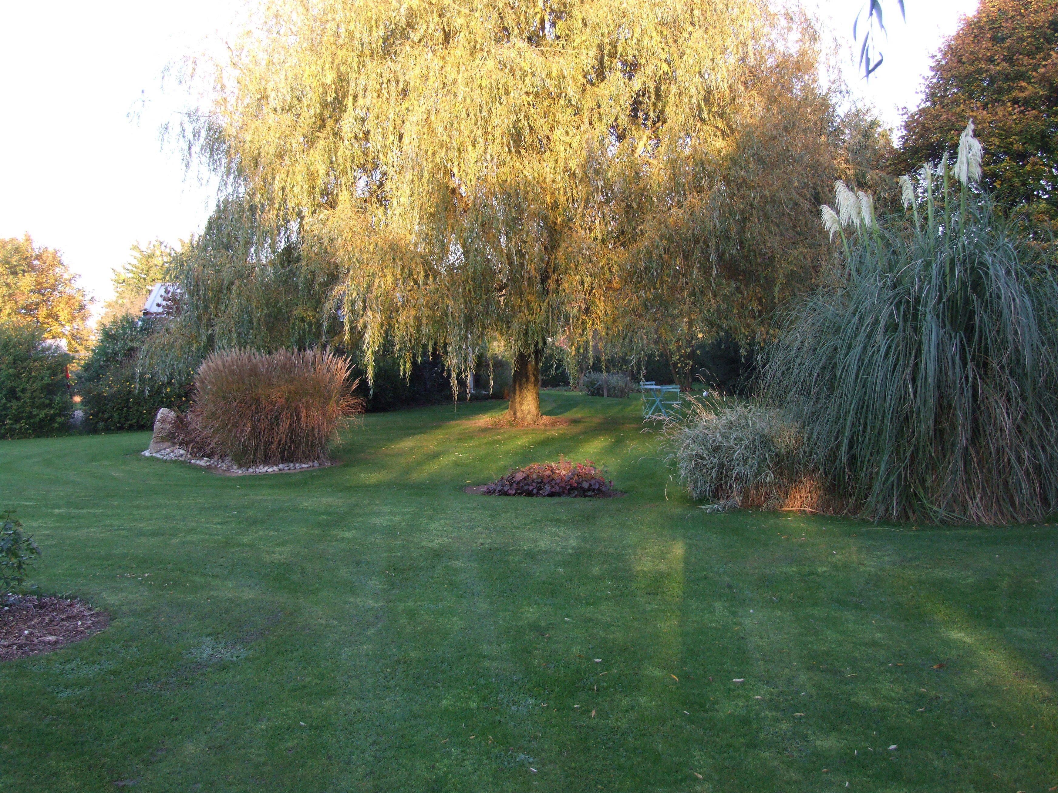 A well-maintained garden with a variety of trees and shrubs, a neatly trimmed lawn, and a small bench in the background.