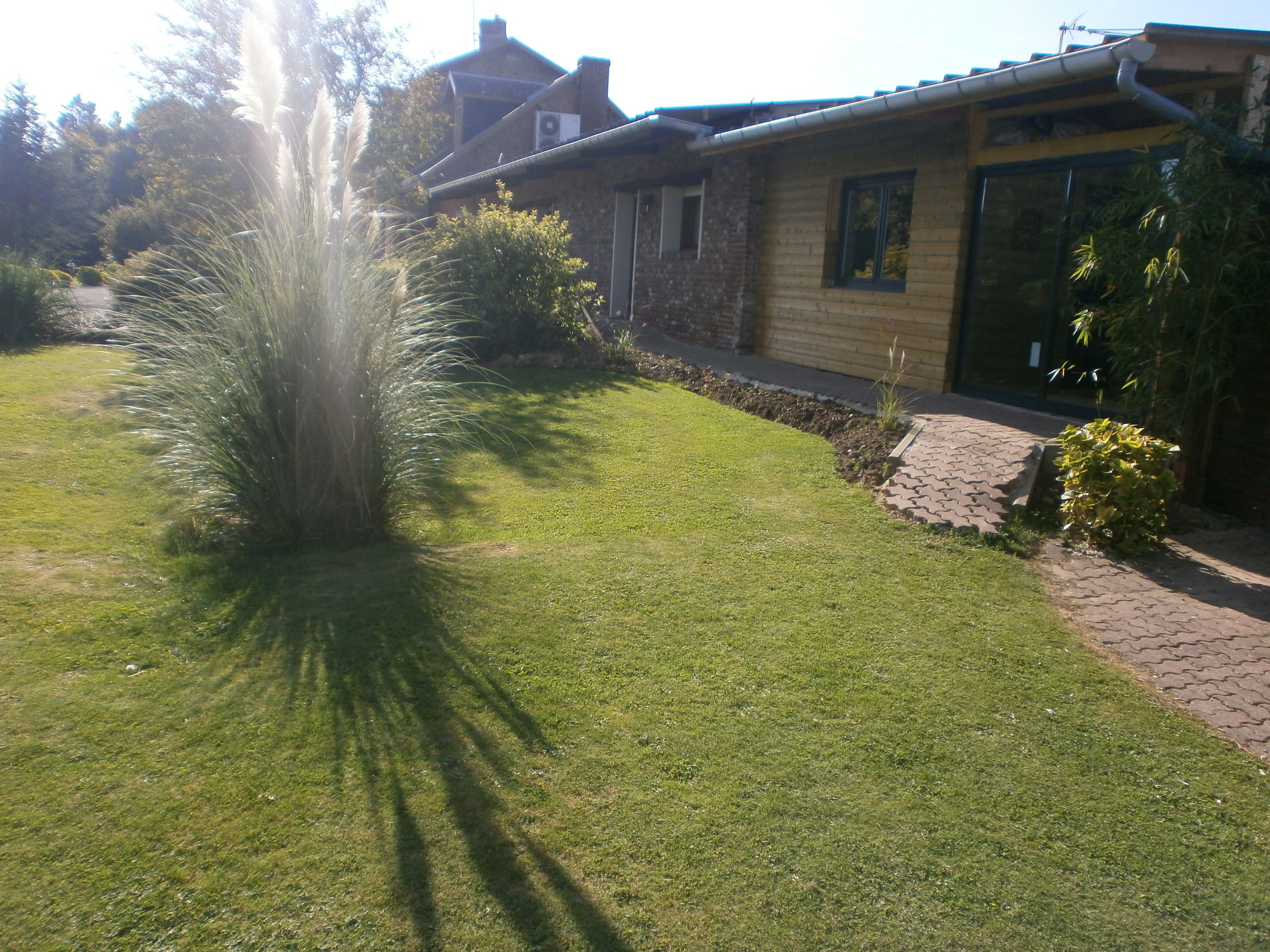 Una casa con camino de entrada pavimentado, césped y un pequeño jardín con hierba alta y un arbusto.