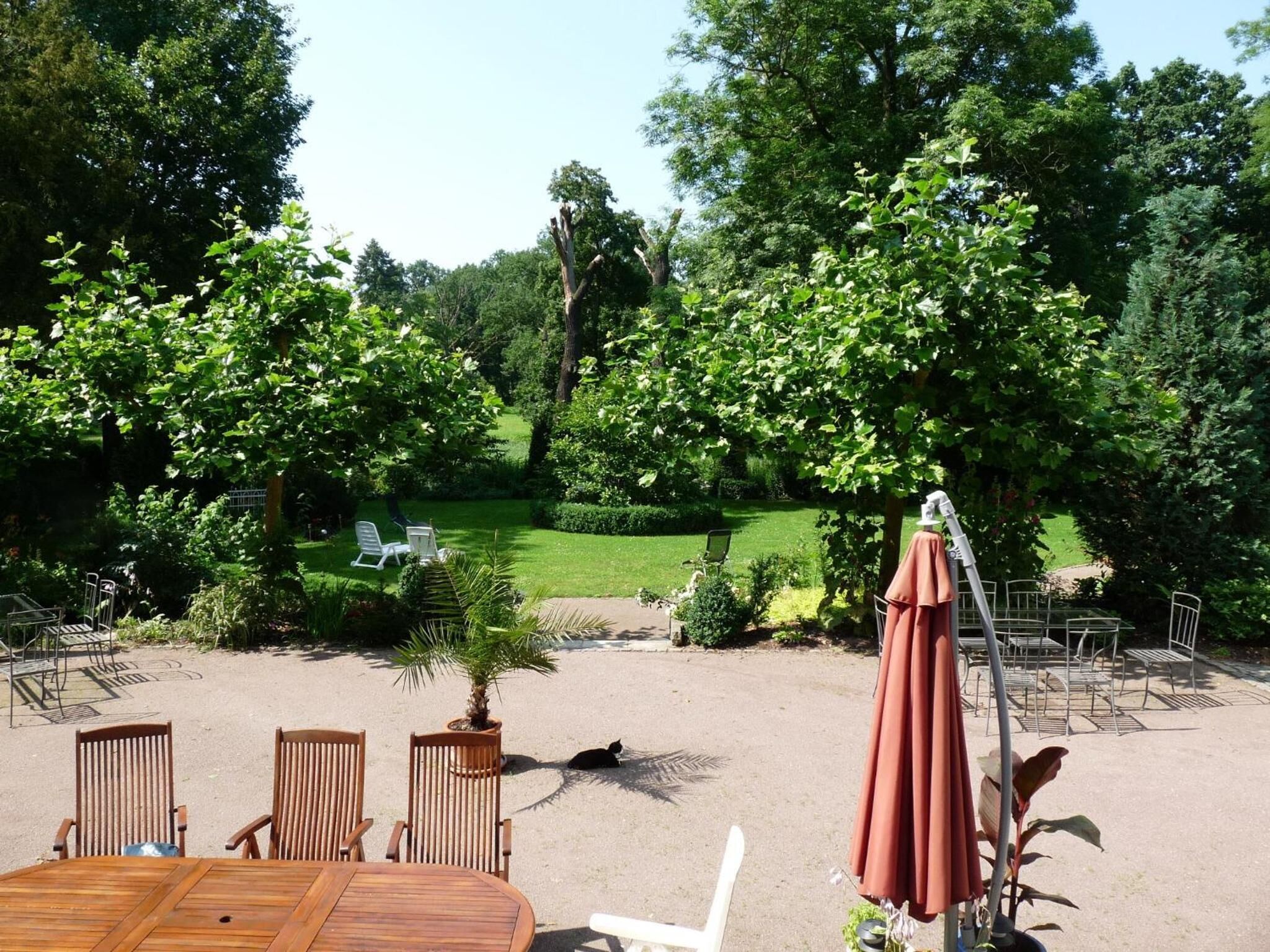 An outdoor patio area with a round wooden table and chairs, surrounded by greenery and trees.