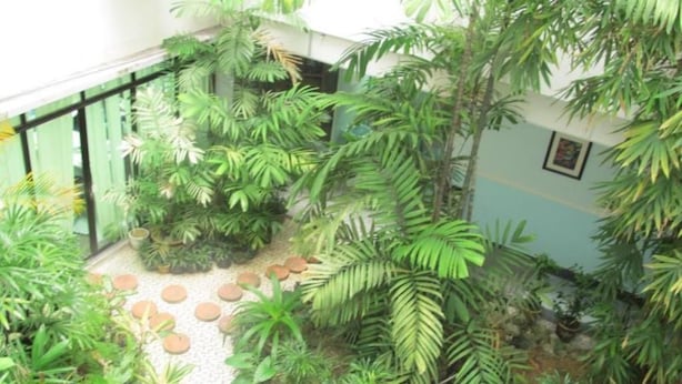 Een weelderige binnentuin met verschillende tropische planten en een grindpad.