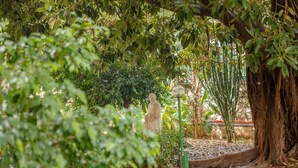 A statue in a park with dense foliage and a lamp post. - Casa per ferie Don Orione Palermo (Palermo)