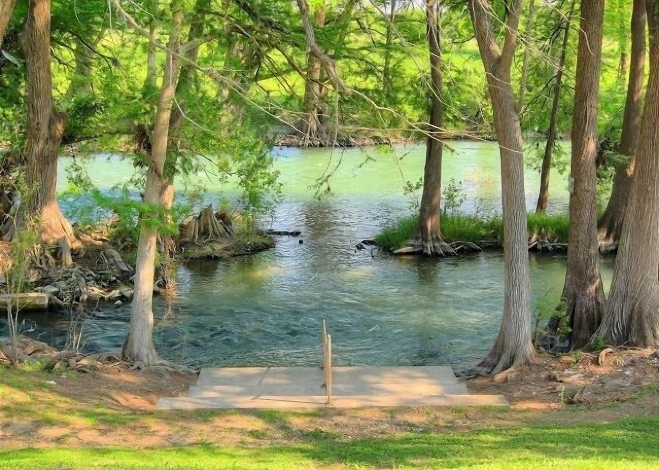 A serene riverside view with trees and a concrete path leading to the water.