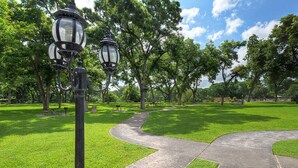 A park pathway with a curved design, surrounded by green grass and trees.