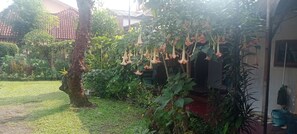 Exterior - Griya Palayu (Bogor)
