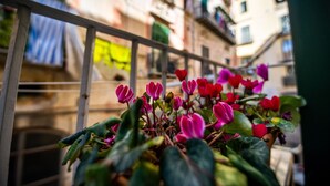 Un balcon doté d’une rambarde en métal, donnant sur une rue résidentielle bordée d’immeubles aux couleurs vives.