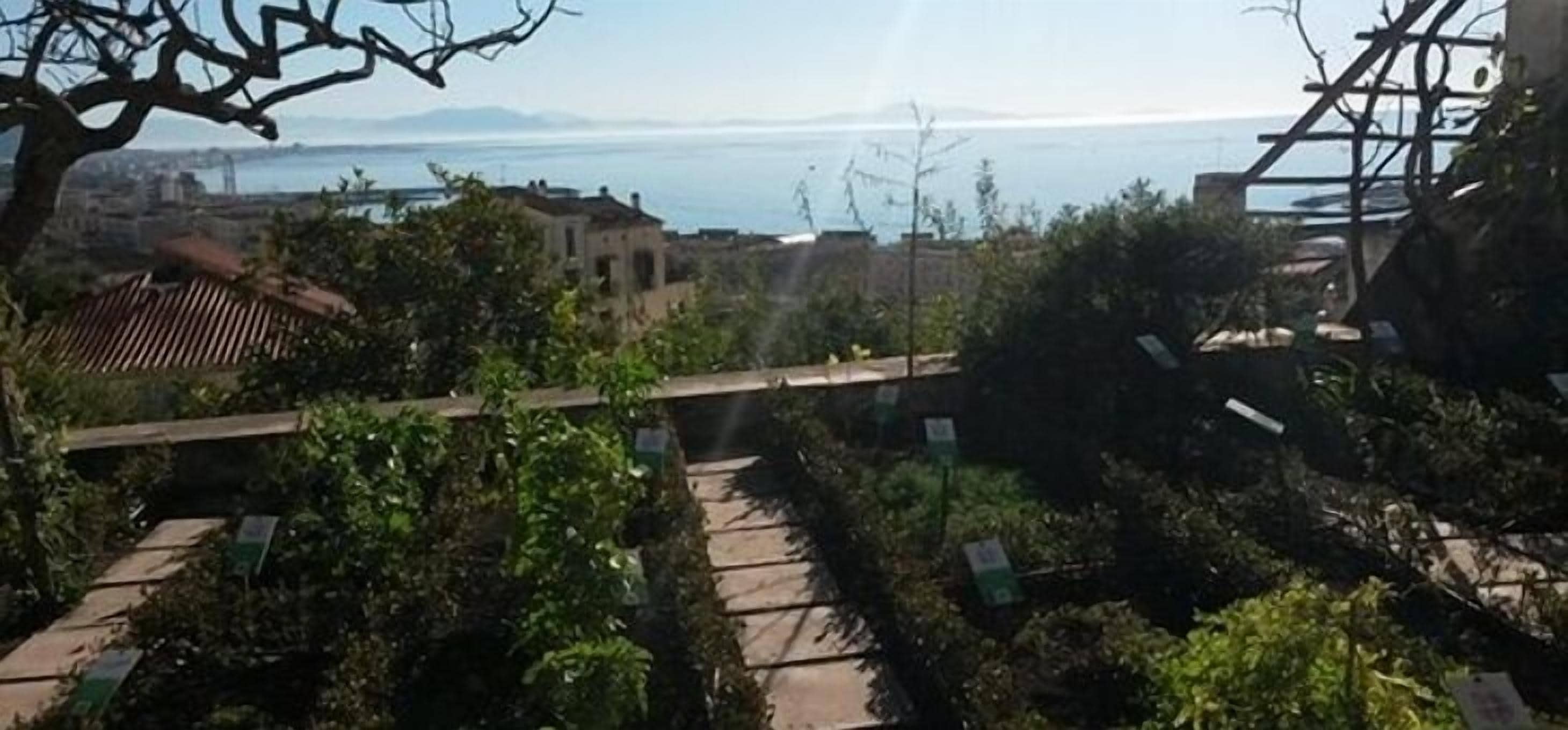 Photo - Terre Dipinte