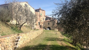 Un sendero de piedra conduce a un edificio de estilo rústico, con un muro de piedra y una pequeña entrada en forma de túnel.