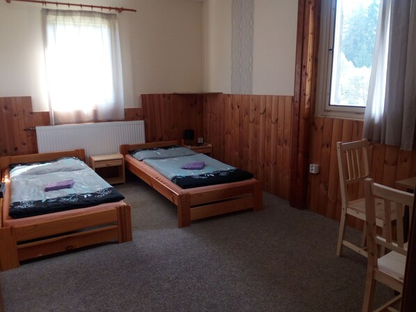 Habitación doble, vista al lago | Cortinas blackout, camas extra, wifi gratis y ropa de cama